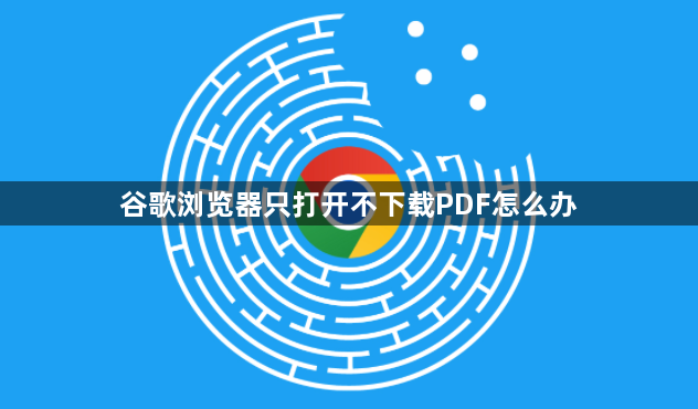 谷歌浏览器只打开不下载PDF怎么办1